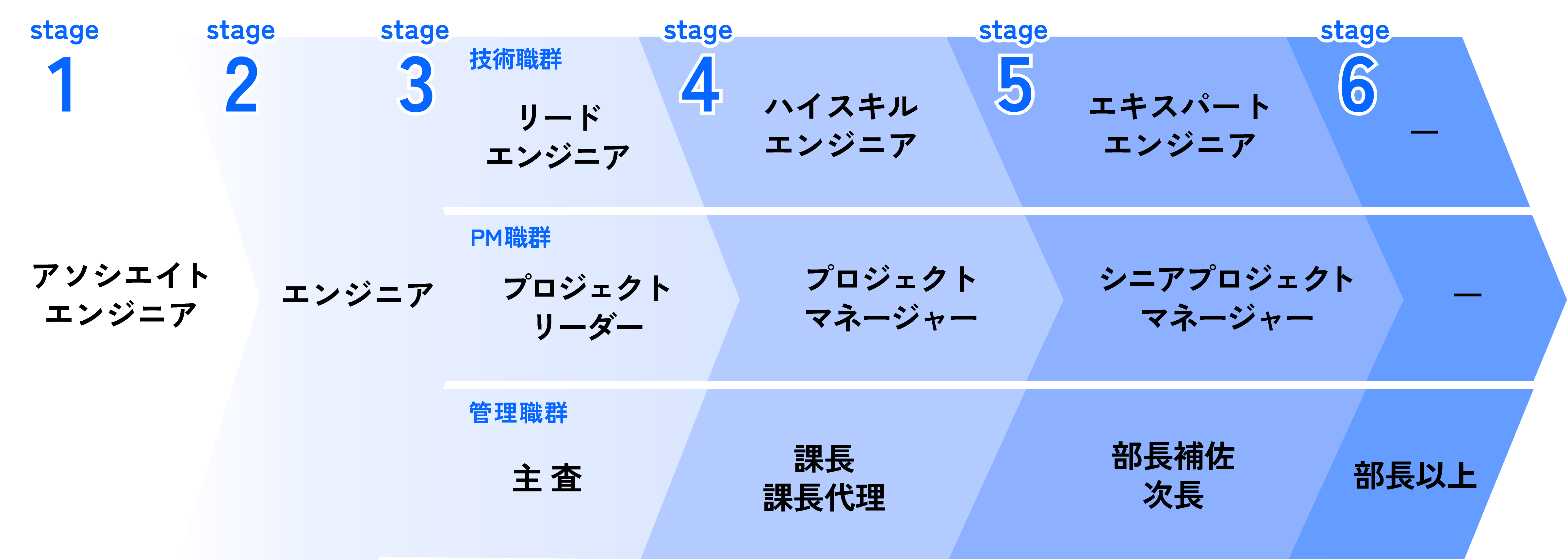 セラクの技術職キャリアステップ