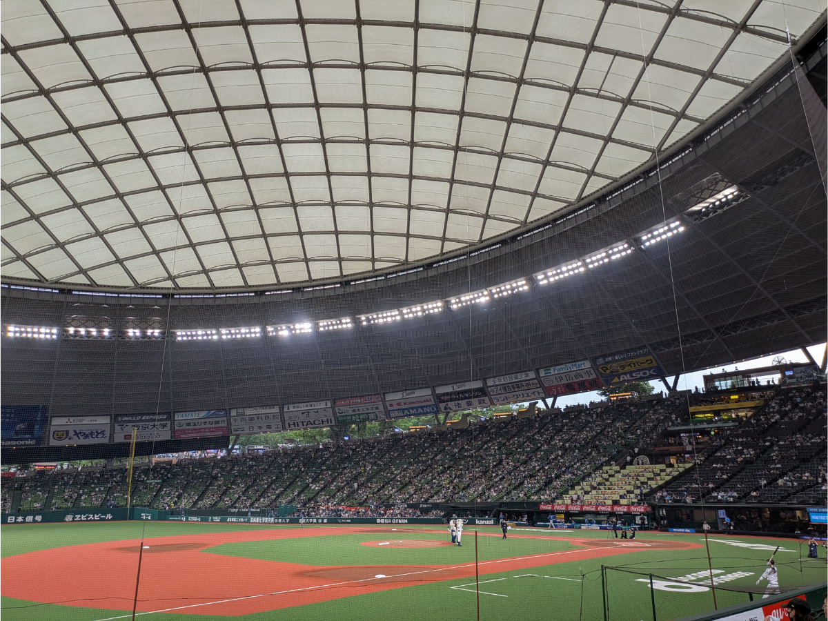 野球観戦の写真