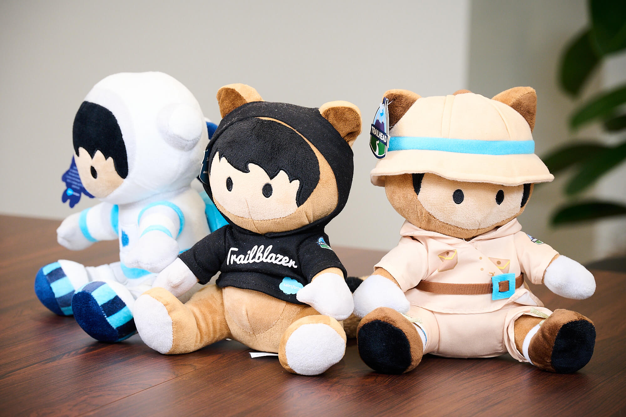 インタビュー画像05