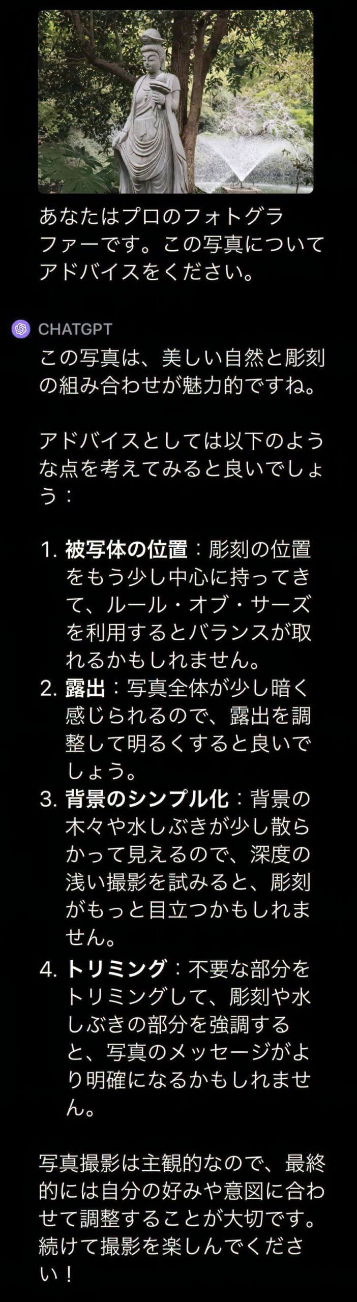 プロのフォトグラファーになりきったGPT-4Vにアドバイスをもらうやりとりのスクリーンショット