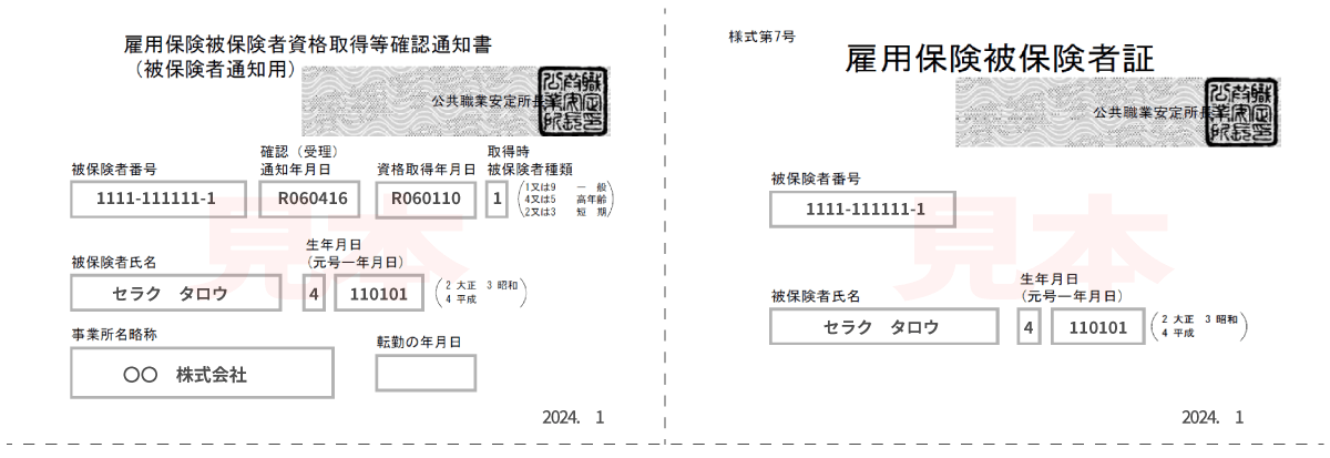 雇用保険被保険者証の記載内容とは？